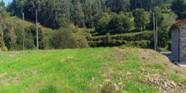 Finca Urbana de 1.350 m² en Abegondo Finca Urbana de 1.350 m² en Abegondo